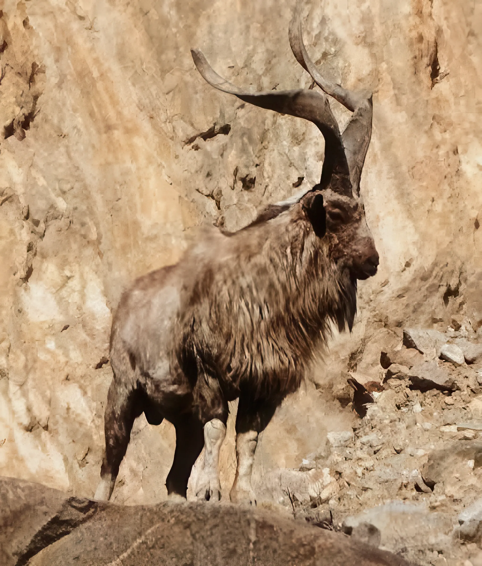 Northern Pakistan